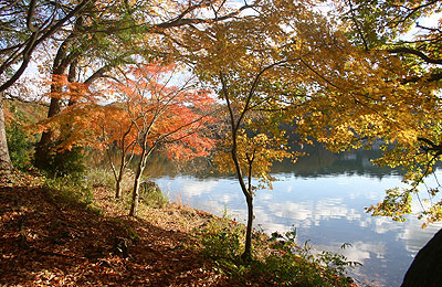 松川湖の紅葉